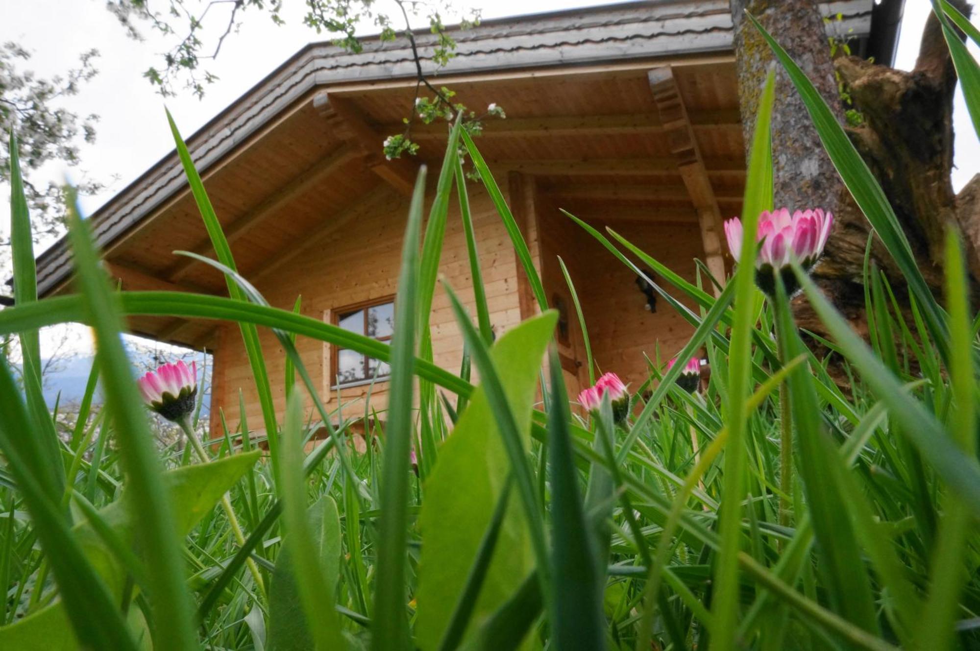 Ferienhaus Mandlhof Weer Екстер'єр фото